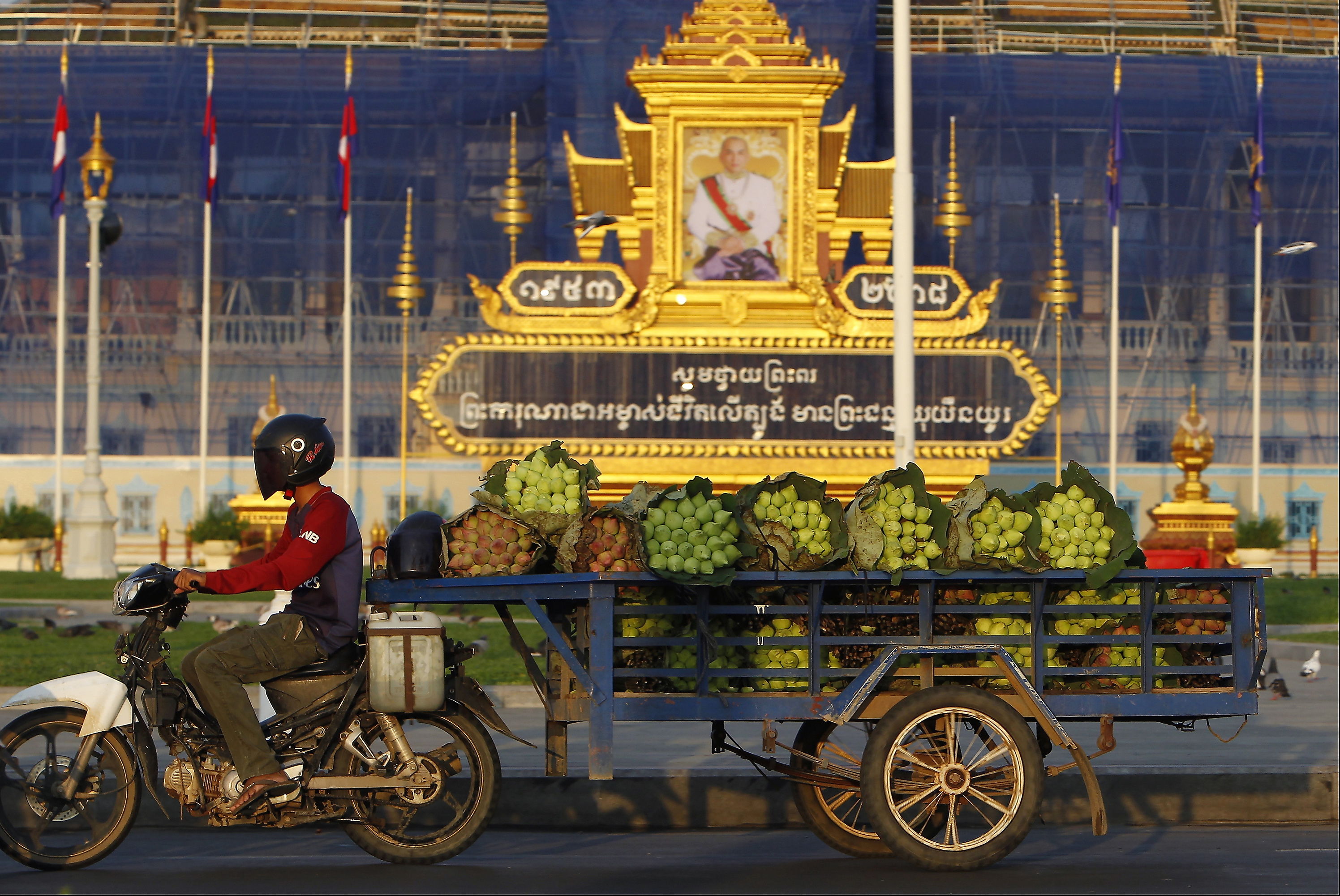 FILE -A Cambodian vendor transports lotus flowers past King Norodom Sihamoni's portrait in front of Royal Palace in Phnom Penh, Cambodia, May 14, 2018. (AP Photo/Heng Sinith), File)