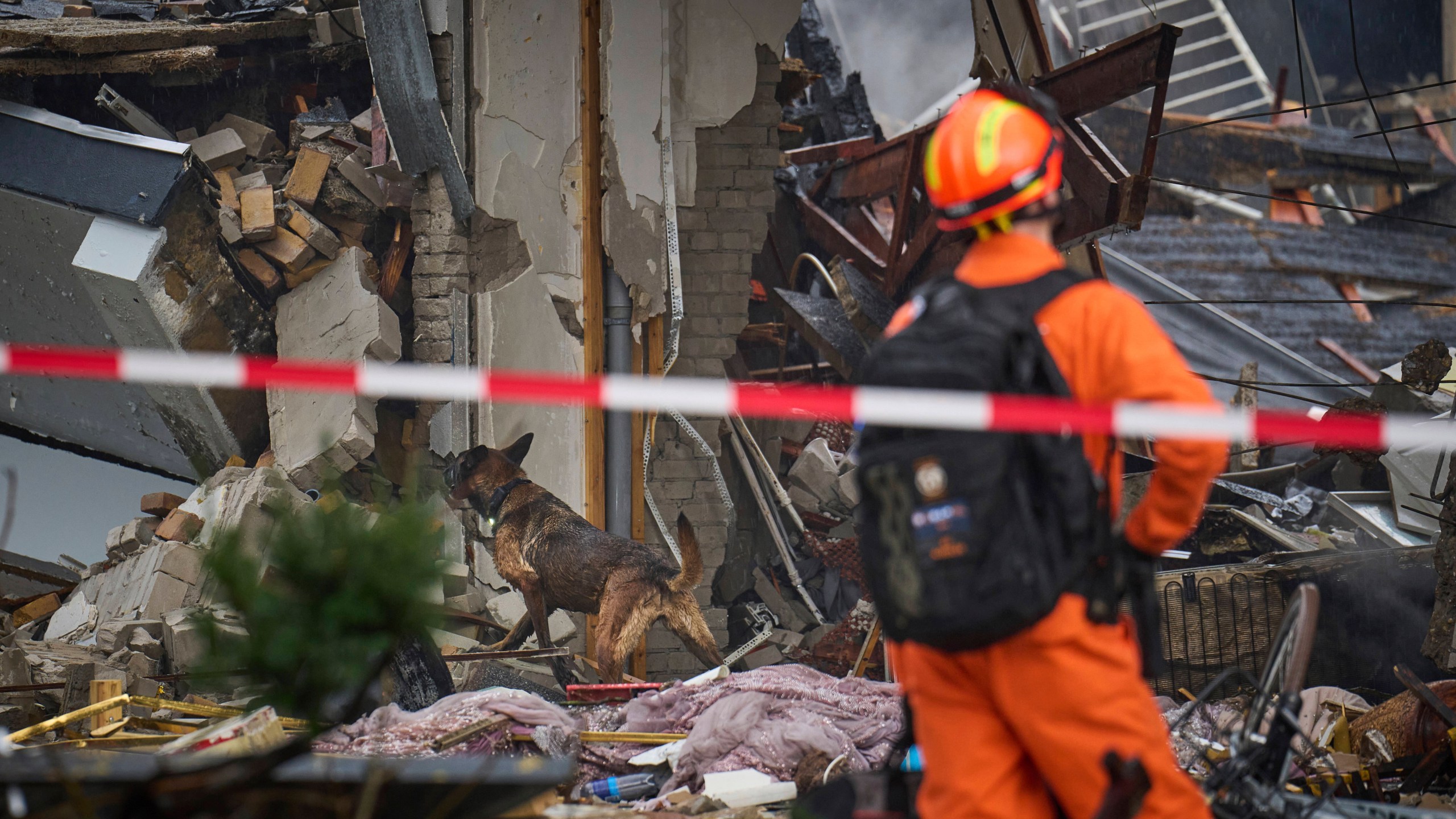 A search and rescue dog walks at a site of an explosion which destroyed several apartments and injured multiple people, at The Hague, Saturday, Dec. 7, 2024. (AP Photo/Phil Nijhuis)