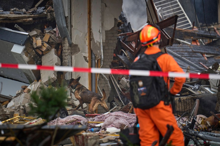 A search and rescue dog walks at a site of an explosion which destroyed several apartments and injured multiple people, at The Hague, Saturday, Dec. 7, 2024. (AP Photo/Phil Nijhuis)