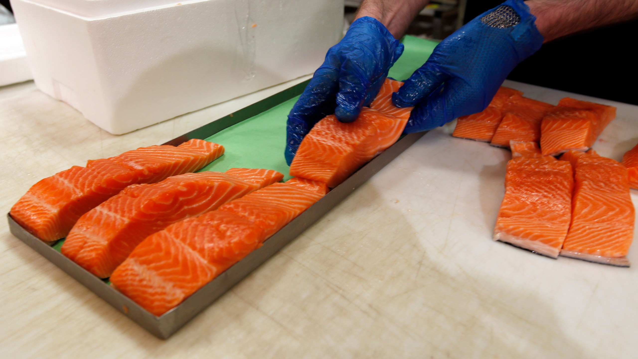 FILE - Canadian certified organic farm-raised King Salmon filets are placed on a tray in a store in Fairfax, Va., April 10, 2015. (AP Photo/Alex Brandon)