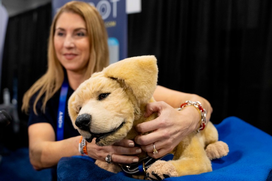 Tombot, a robotic dog for people who can not have a real pet, gets a scratch during 2025 CES Unveiled, Sunday, Jan. 5, 2025, in Las Vegas. (AP Photo/Jack Dempsey)