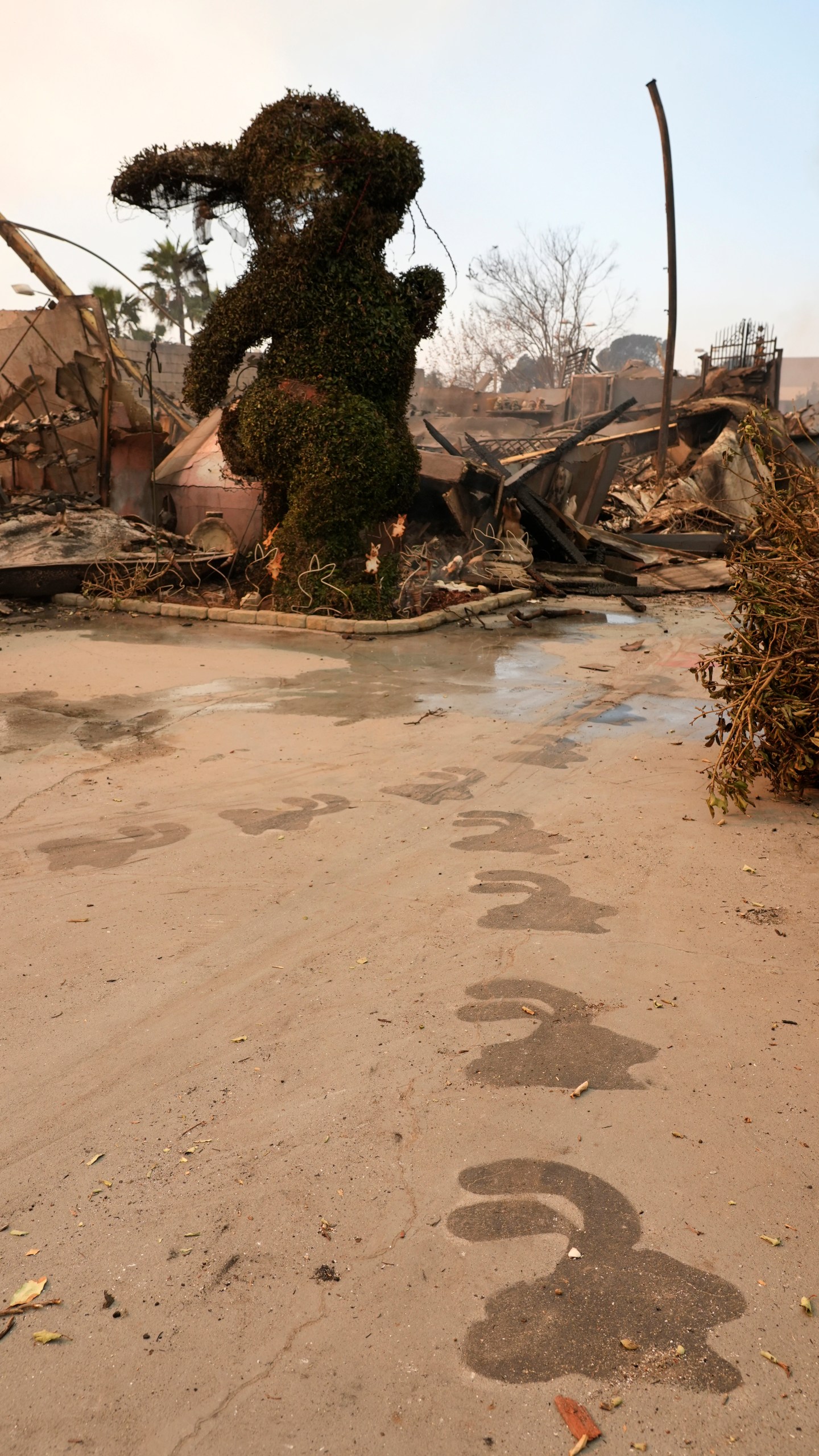 A welcome path leads to the charred remains of the Bunny Museum, Thursday, Jan. 9, 2025, in the Altadena section of Pasadena, Calif. (AP Photo/Chris Pizzello)