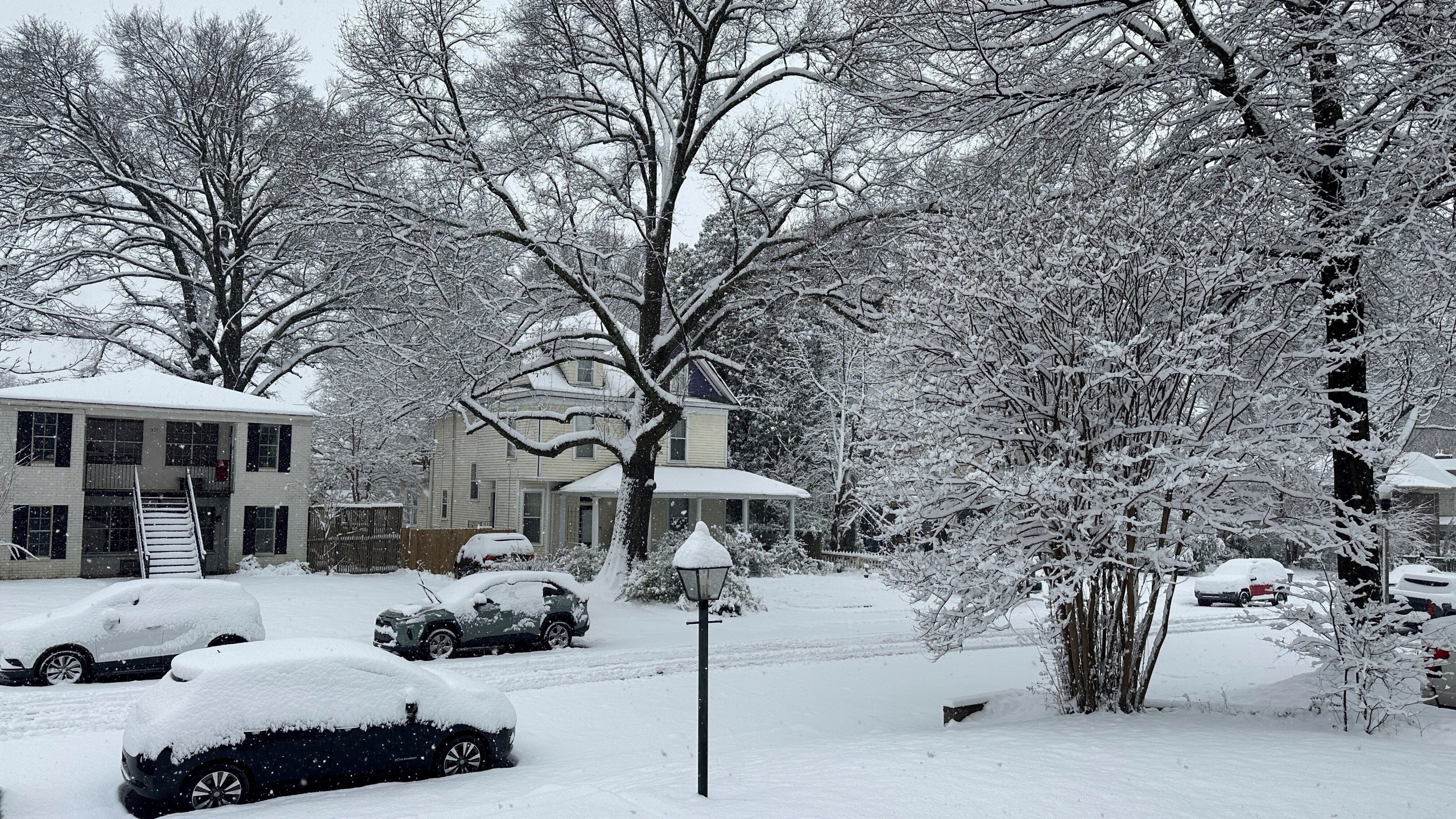 Snow blankets a street in Memphis, Tennessee, Friday, Jan. 10, 2025. (AP Photo/Adrian Sainz)