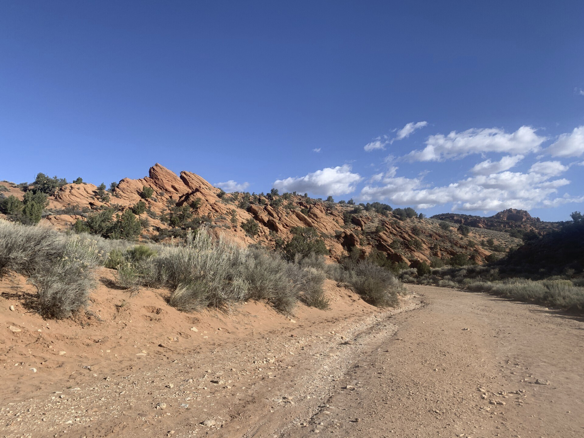 Bureau of Land Management land use for recreation in southern Utah near Kanab Needles Overlook run by the BLM near Canyonlands National Park south of Moab, Utah, March 29, 2024. (Donn Friedman/The Albuquerque Journal via AP)