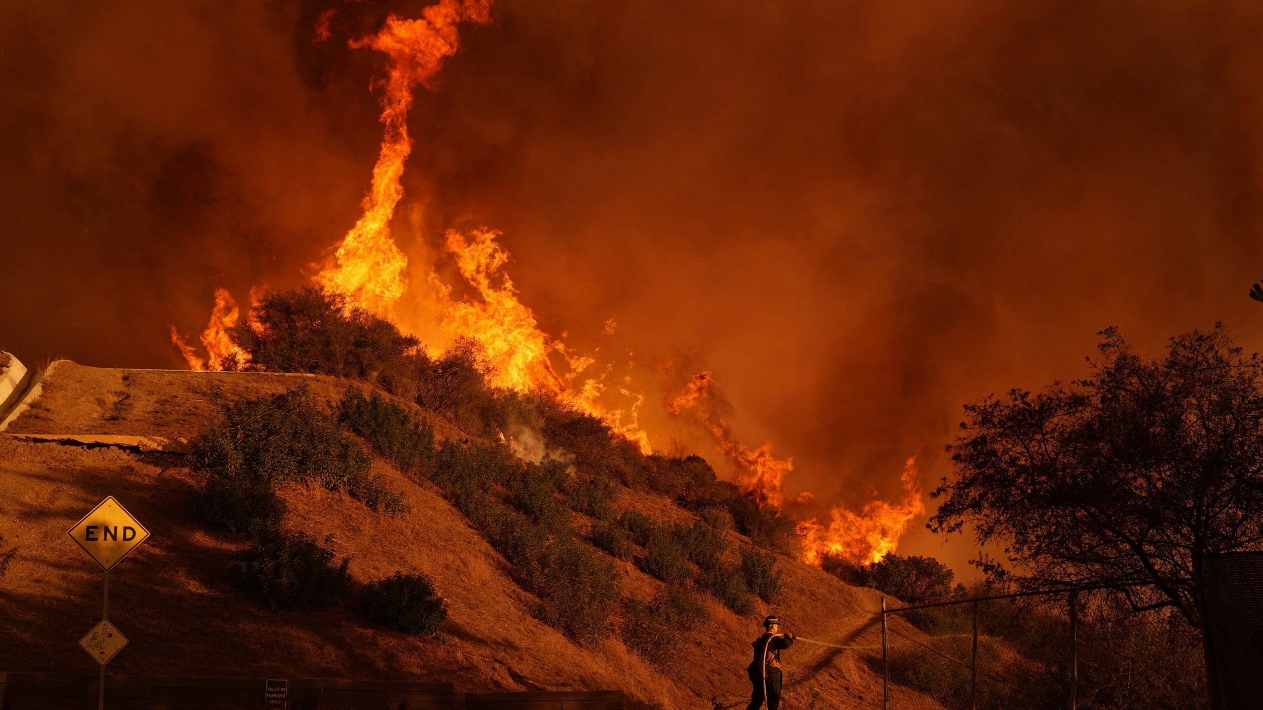 A firefighter battles the Palisades Fire in Mandeville Canyon on Saturday, Jan. 11, 2025, in Los Angeles. (AP Photo/Jae C. Hong)